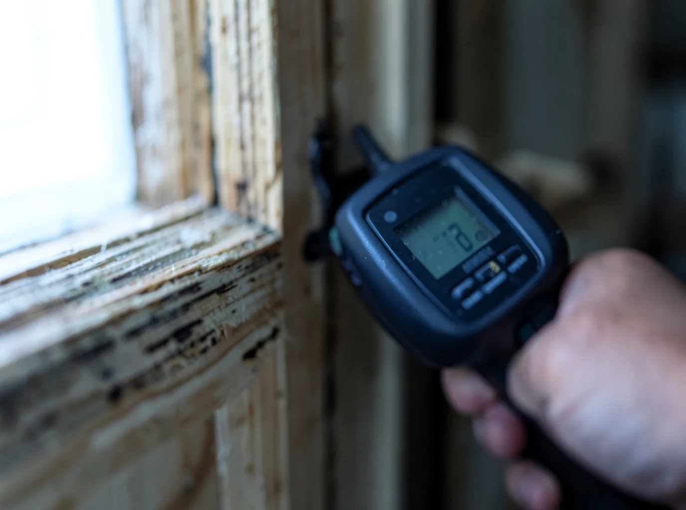 Moisture Inspection And Documentation in Ogden, KS